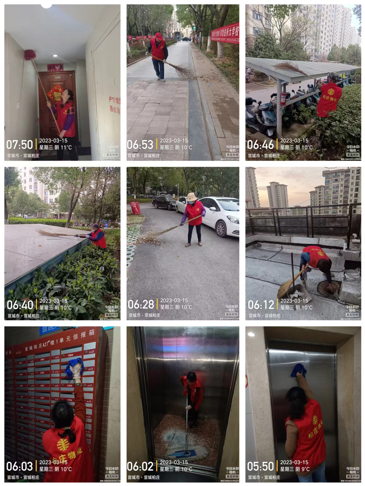 城西花苑物業(yè)保潔